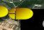 castrillo_del_val010001.jpg
